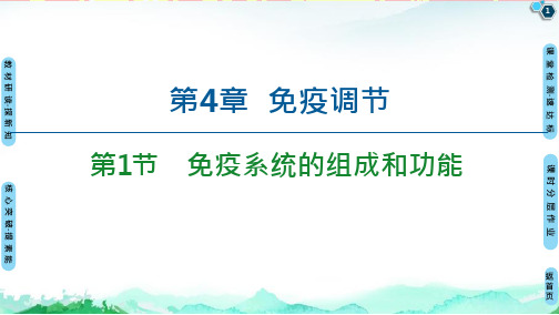 新教材人教版《免疫系统的组成和功能》课件