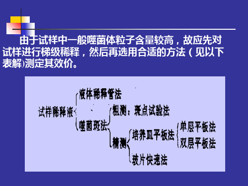 噬菌体效价的测定在菌苔上逐步形成的噬菌体群体由于其21页PPT