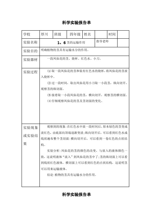 四年级下册科学1、6茎的运输作用-实验报告单