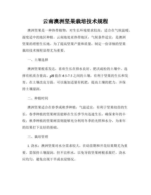 云南澳洲坚果栽培技术规程