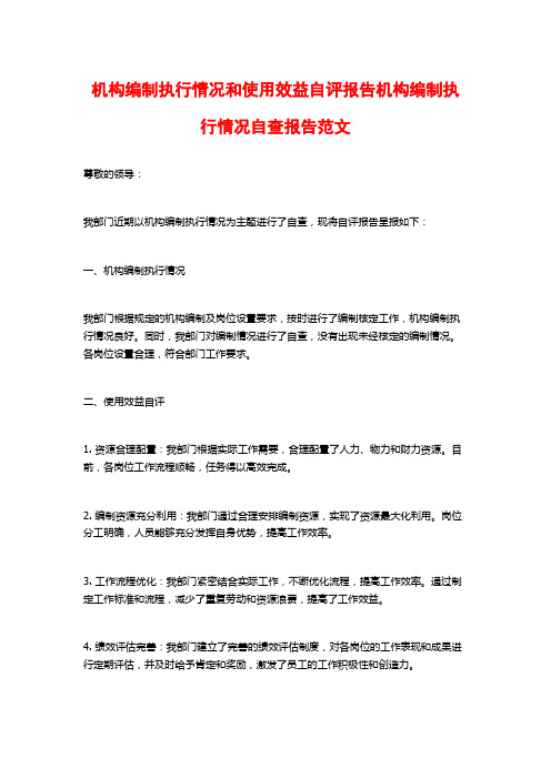 机构编制执行情况和使用效益自评报告机构编制执行情况自查报告范文