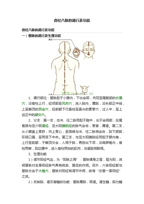 奇经八脉的循行及功能