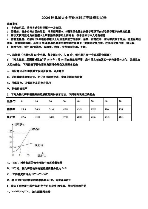 2024届北师大中考化学对点突破模拟试卷含解析