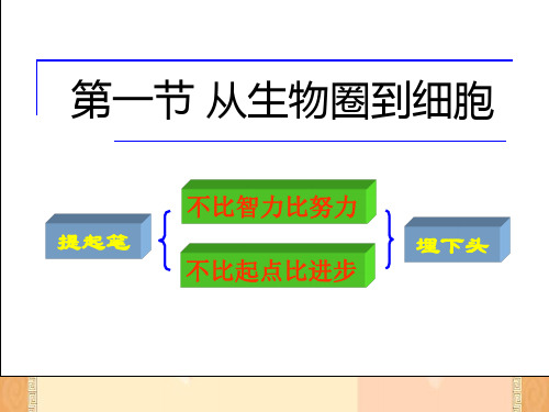 人教版高中生物必修一第一章《走进细胞》第一节 从生物圈到细胞教学课件共24张PPT