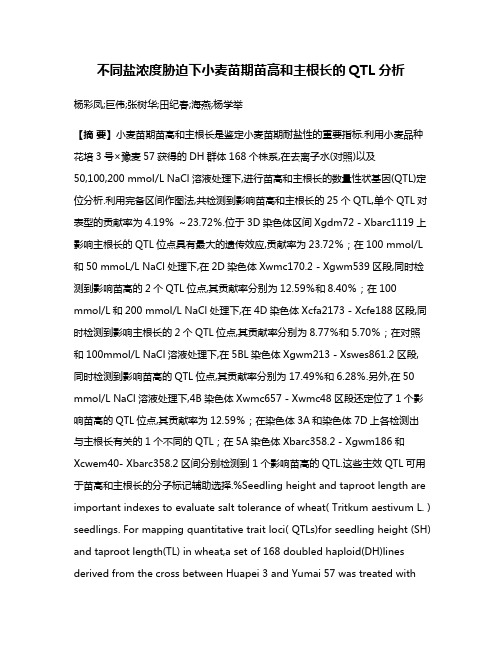 不同盐浓度胁迫下小麦苗期苗高和主根长的QTL分析