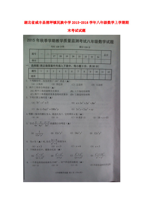 湖北省咸丰县清坪镇民族中学八年级数学上学期期末考试试题(扫描版) 新人教版
