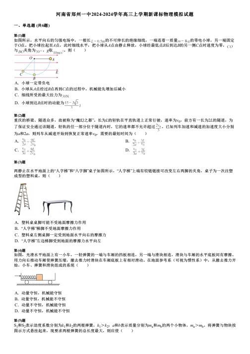 河南省郑州一中2024-2024学年高三上学期新课标物理模拟试题