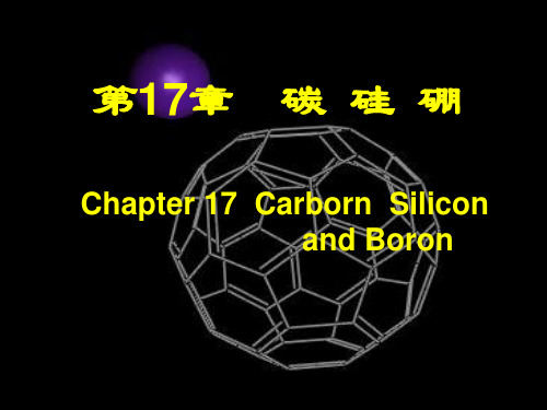 第17章碳硅硼