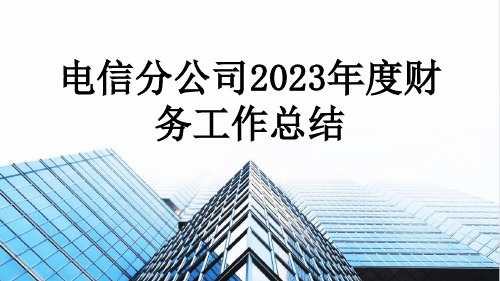 电信分公司2023年度财务工作总结