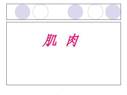 苏教版小学科学四年级下册第一单元《肌肉》