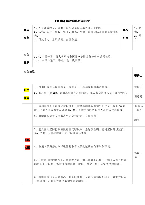 一氧化碳中毒事故现场处置方案(范本)