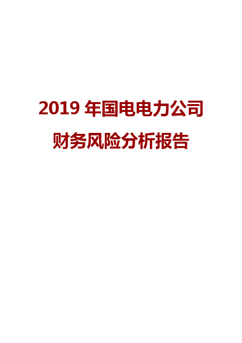 2019年国电电力公司财务风险分析报告