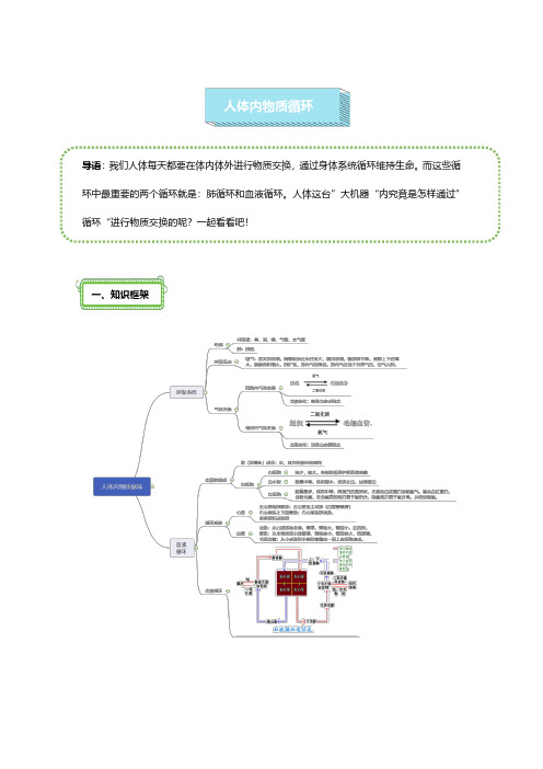 初中生物资料：人体的呼吸、人体的物质循环和废物排出