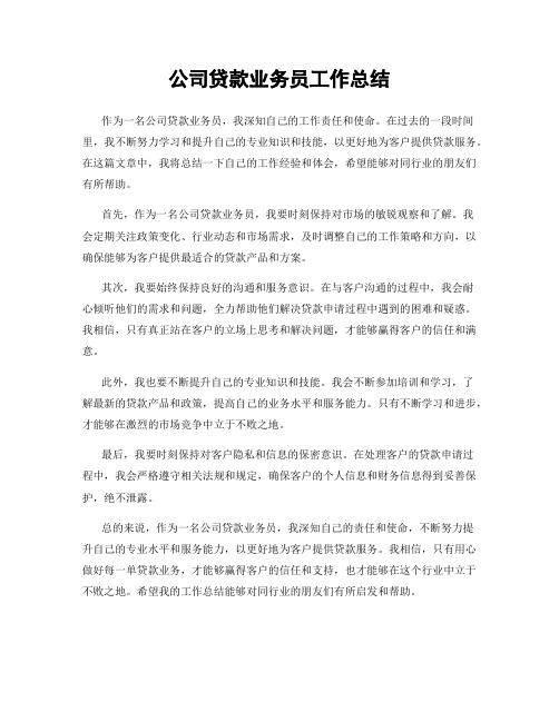 公司贷款业务员工作总结