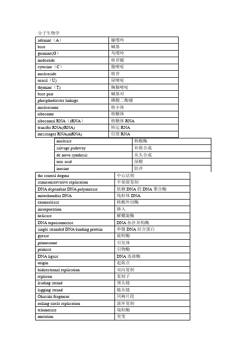 生物化学与分子生物学名词中英文对照表