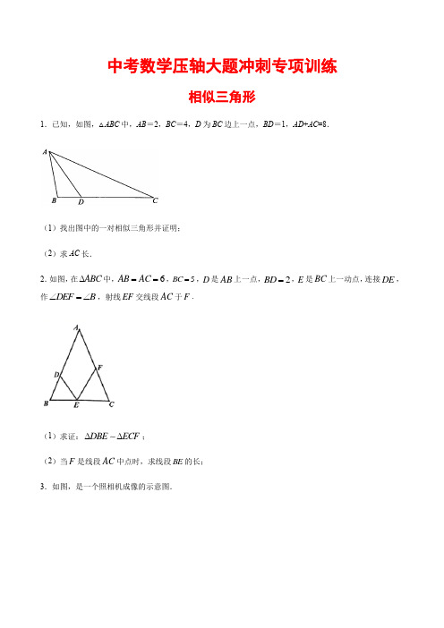 【中考压轴题专项练习】最新中考数学压轴大题冲刺专项训练：《相似三角形 》含答案与解析