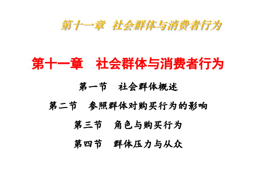 消费者行为学11社会群体与消费者行为