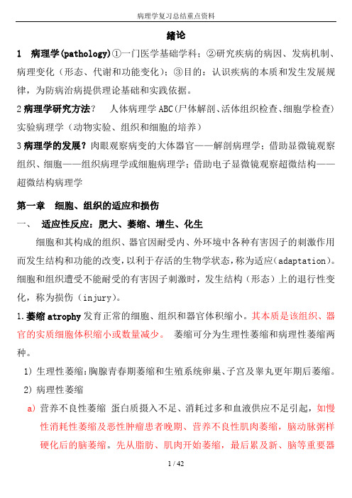 病理学复习总结重点资料