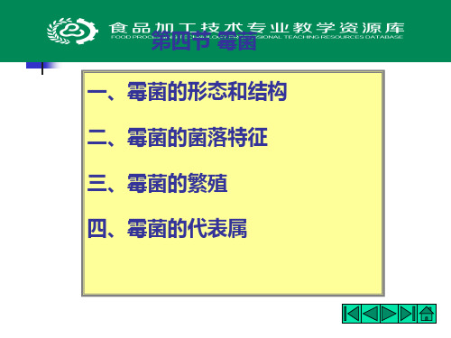 22.霉菌的形态结构和菌落特征.