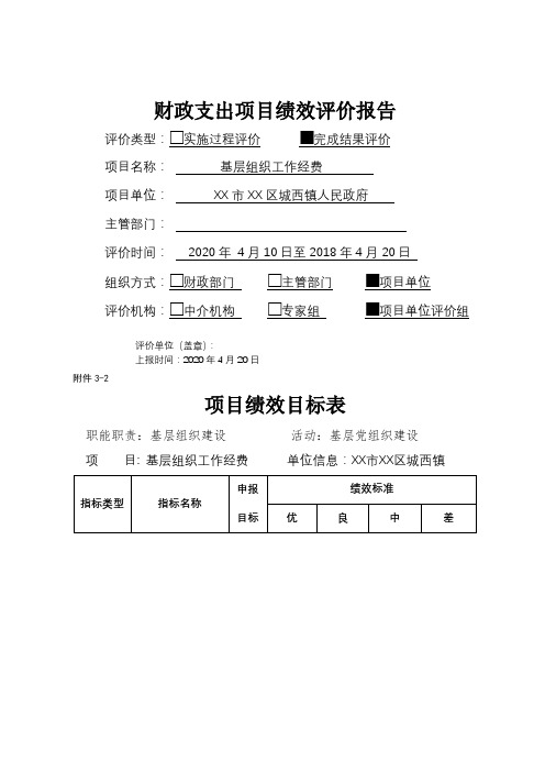 财政支出项目绩效评价报告【模板】