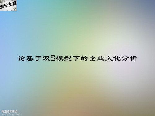 论基于双S模型下的企业文化分析