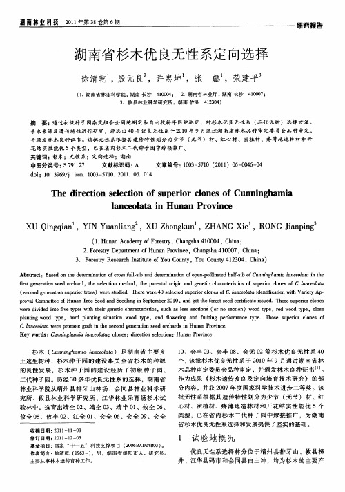 湖南省杉木优良无性系定向选择