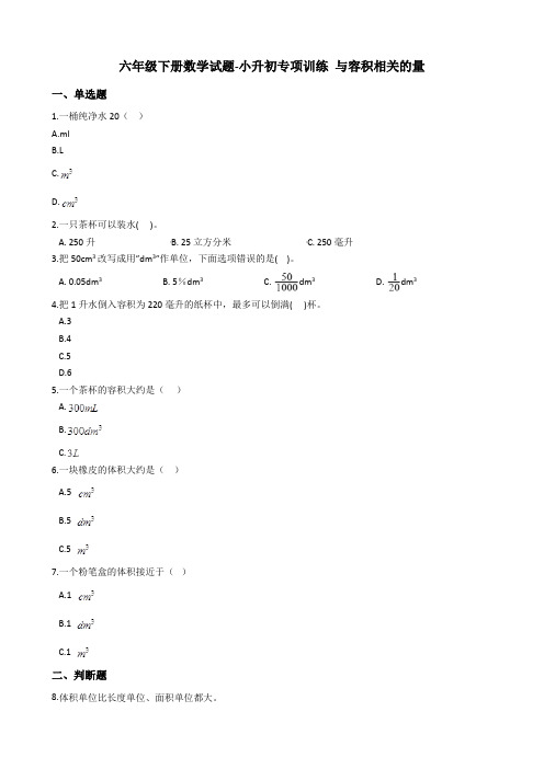 六年级下册数学试题-小升初专项训练 与容积相关的量 人教版(含答案)