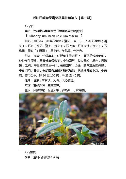 潮汕民间常见青草药属性和验方【第一期】