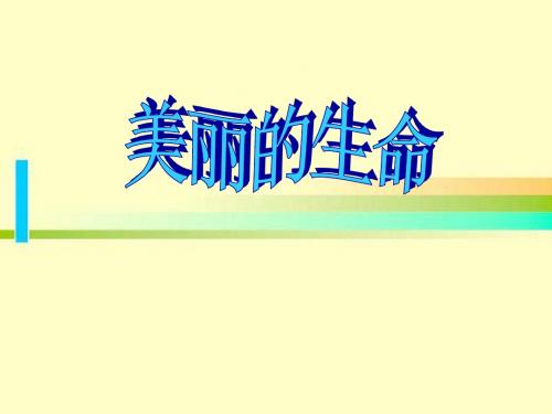 品德与社会人教四年级上册《美丽的生命》课件2