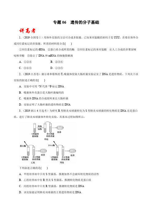 生物高考专题知识点复习及试题讲练测(含解析):06 遗传的分子基础(讲)