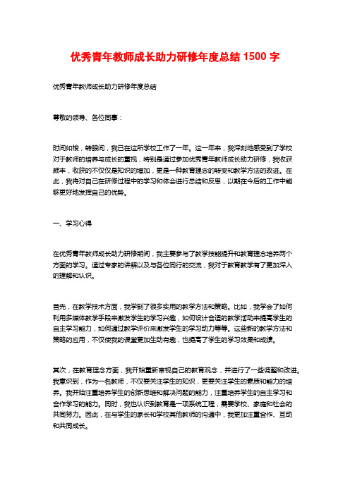 优秀青年教师成长助力研修年度总结2