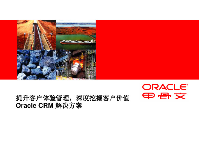 oracle销售行业解决方案