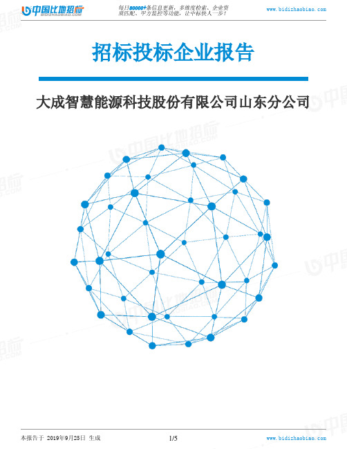 大成智慧能源科技股份有限公司山东分公司_中标190925