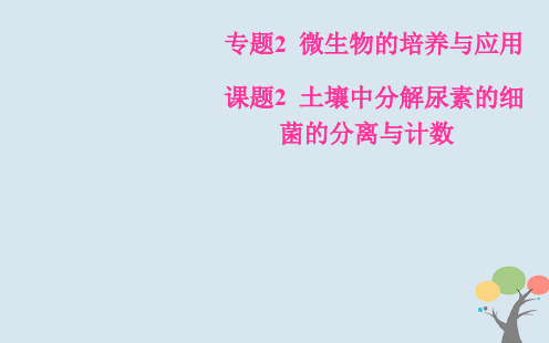 「精品」高中生物 专题2 微生物的培养与应用 课题2 土壤中分解尿素的细菌的分离与计数课件 新人教版选修1-