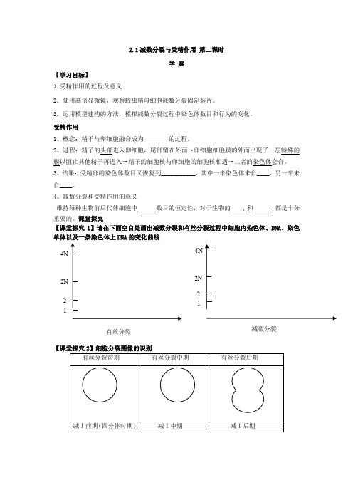 高中生物人教版(2019)必修二学案 2.1减数分裂和受精作用 第2课时