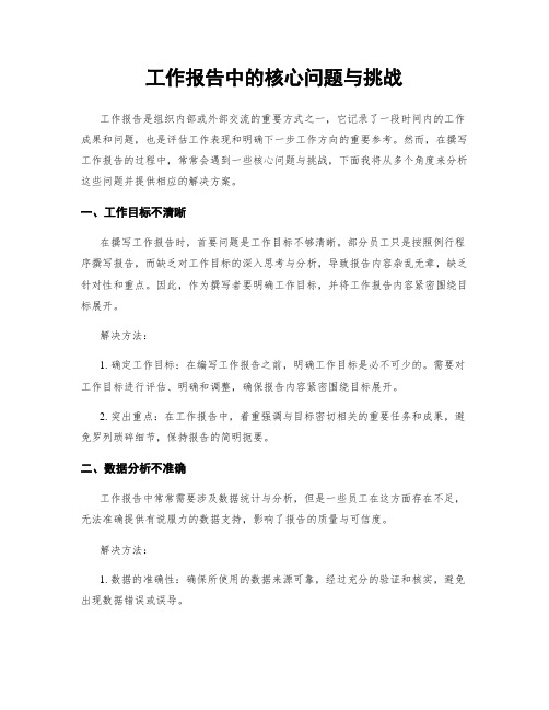 工作报告中的核心问题与挑战