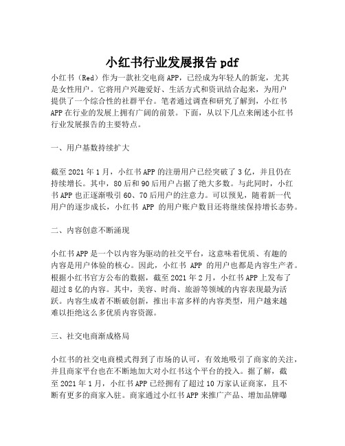 小红书行业发展报告pdf