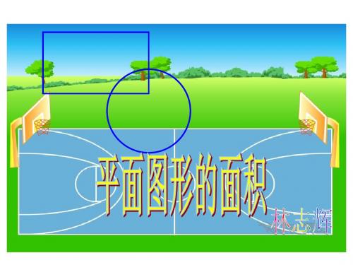 平面图形的面积课件(苏教版国标本六年级上册数学)