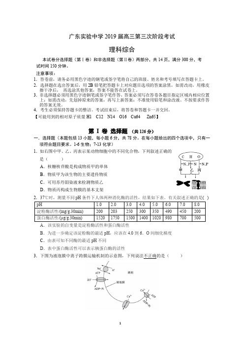 广东实验中学2019届高三上学期第三次阶段考试 (11月) 理科综合 PDF版含答案