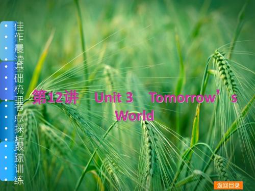 Unit 3 Tomorrow’s World课件 牛津译林版课件