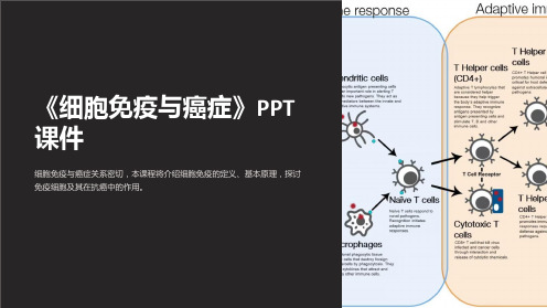 《细胞免疫与癌症》课件