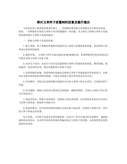 探讨玉米种子质量制约因素及提升建议