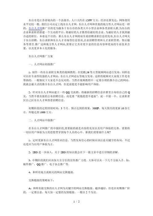 分享地方人才网推广三步走方案