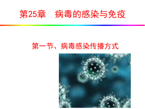 医学微生物 病毒感染与免疫PPT课件