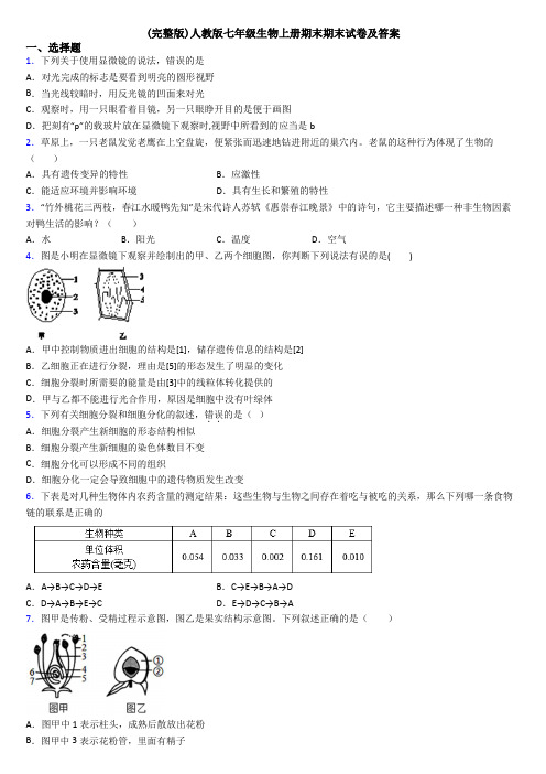 (完整版)人教版七年级生物上册期末期末试卷及答案