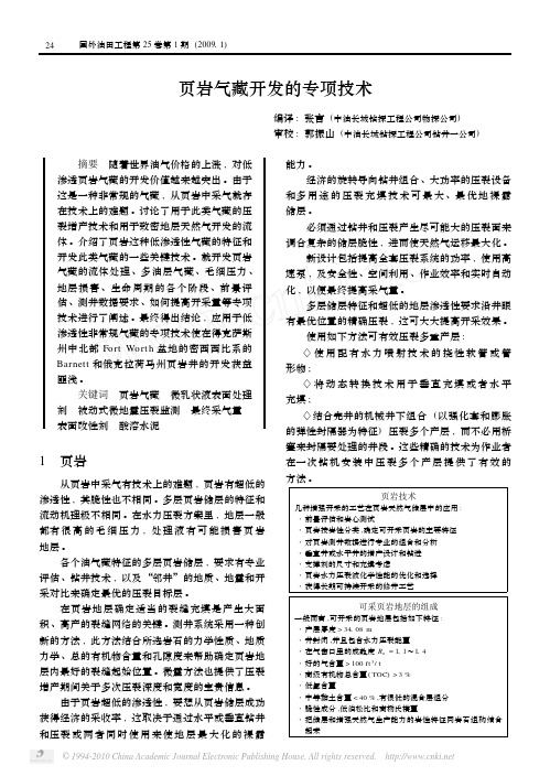 页岩气藏开发的专项技术