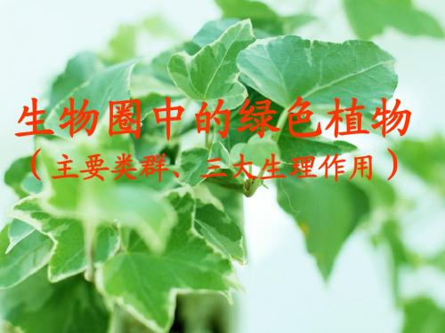 专题二、植物的主要类群、三大生理作用