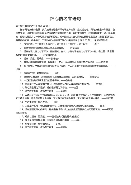 关于细心的名言语句（精选20条）