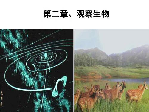 七年级科学蜗牛的观察