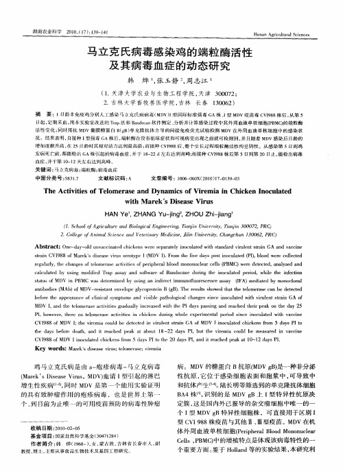 马立克氏病毒感染鸡的端粒酶活性及其病毒血症的动态研究